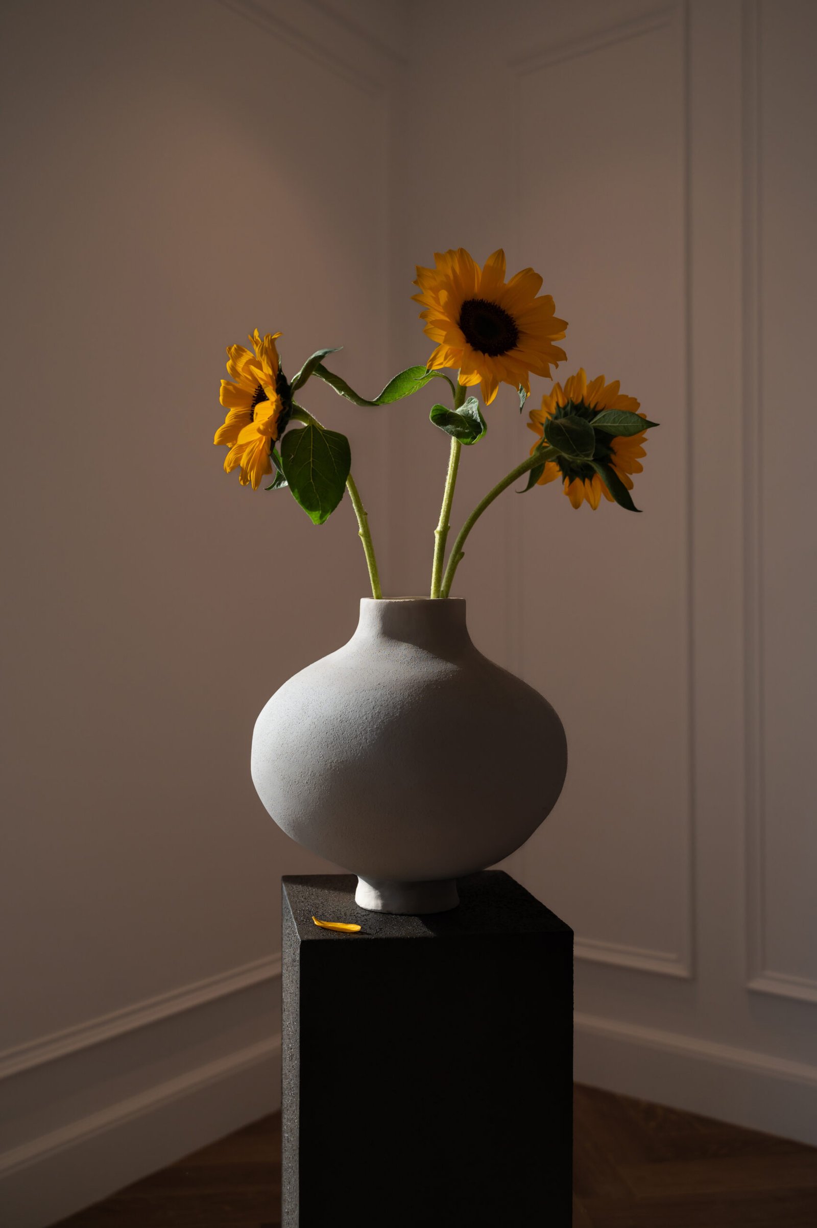 close up decorative flowers